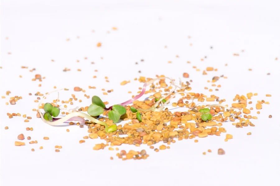 Detox-Mix Bio Sprossensamen 250g